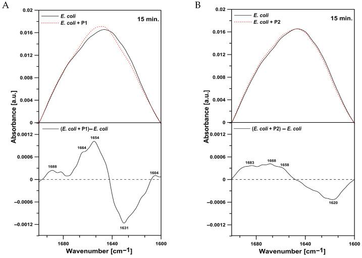 https://cdn.ncbi.nlm.nih.gov/pmc/blobs/6120/12428502/a6a2753c3b38/ijms-26-08438-g011.jpg