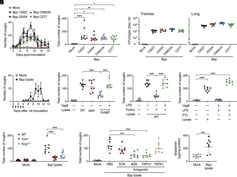 https://cdn.ncbi.nlm.nih.gov/pmc/blobs/6121/10556565/014091572e60/pnas.2308260120fig01.jpg