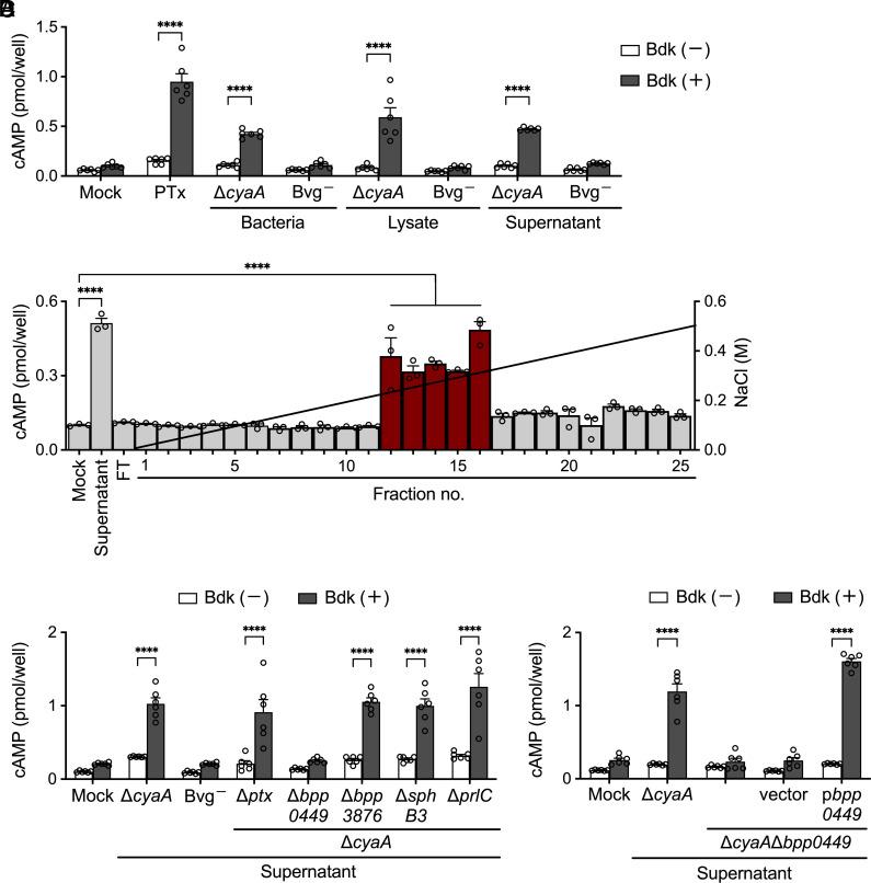 https://cdn.ncbi.nlm.nih.gov/pmc/blobs/6121/10556565/43e3b73ee9ab/pnas.2308260120fig02.jpg