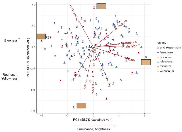 https://cdn.ncbi.nlm.nih.gov/pmc/blobs/6122/11126043/4e5f7a19c79b/plants-13-01309-g001.jpg
