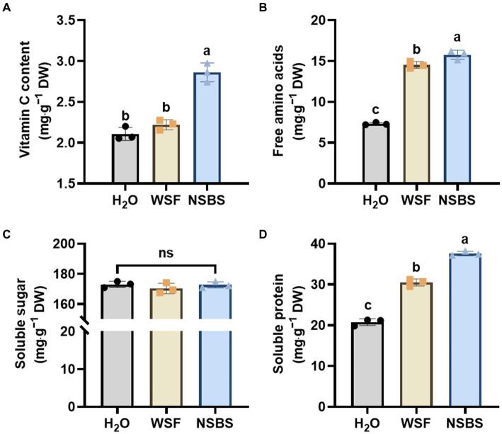 https://cdn.ncbi.nlm.nih.gov/pmc/blobs/6124/11254703/4826aa8b89c9/fmicb-15-1408359-g002.jpg
