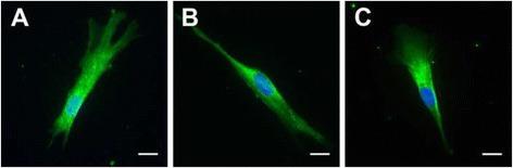 https://cdn.ncbi.nlm.nih.gov/pmc/blobs/6125/4712507/135c8bb033b9/13287_2015_269_Fig4_HTML.jpg