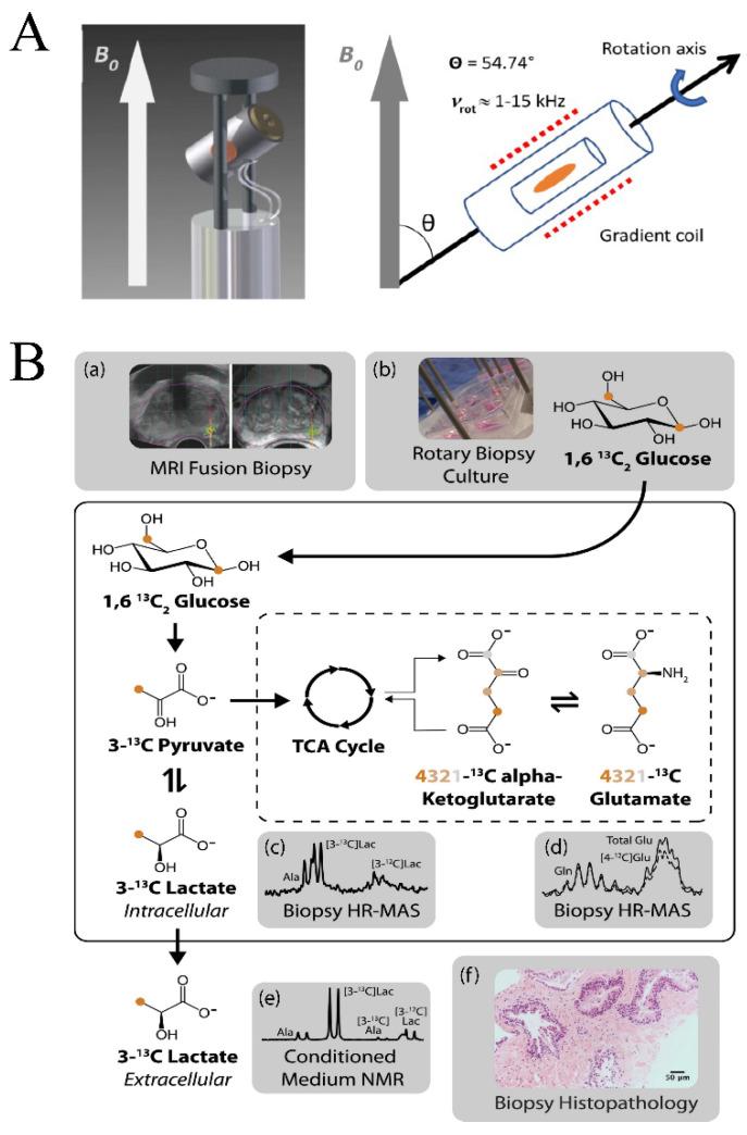 https://cdn.ncbi.nlm.nih.gov/pmc/blobs/6125/7662776/3f78f5e1ab05/molecules-25-05128-g005.jpg