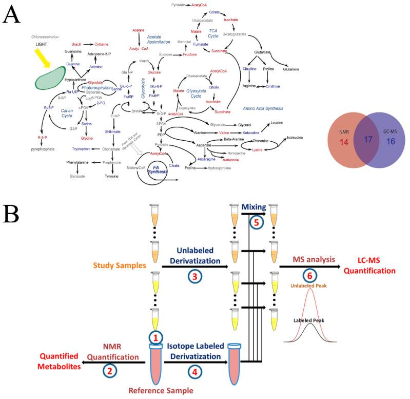 https://cdn.ncbi.nlm.nih.gov/pmc/blobs/6125/7662776/e665e73a38a0/molecules-25-05128-g006.jpg