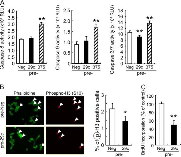 https://cdn.ncbi.nlm.nih.gov/pmc/blobs/6126/3646694/e7844319bf94/1476-4598-12-15-3.jpg