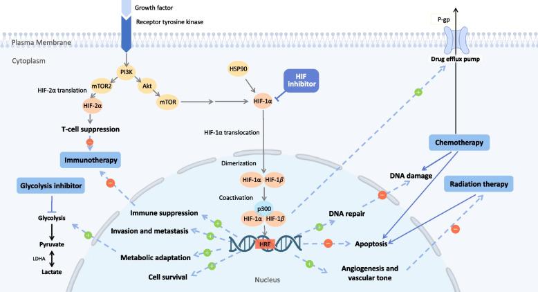https://cdn.ncbi.nlm.nih.gov/pmc/blobs/6127/10353250/31307b8435bb/13046_2023_2724_Fig1_HTML.jpg