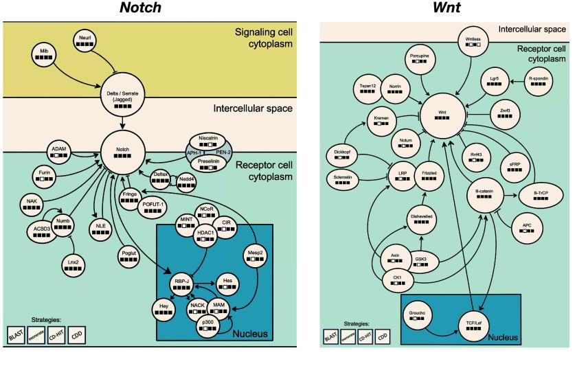 https://cdn.ncbi.nlm.nih.gov/pmc/blobs/6128/12208295/76d34ef2be04/gigabyte-2025-157-g002.jpg