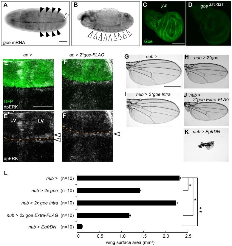 https://cdn.ncbi.nlm.nih.gov/pmc/blobs/612a/4242634/924c42751e52/pone.0113423.g005.jpg