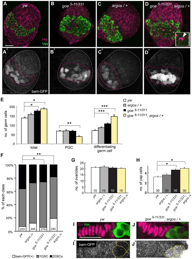 https://cdn.ncbi.nlm.nih.gov/pmc/blobs/612a/4242634/ad940de1f3d9/pone.0113423.g006.jpg