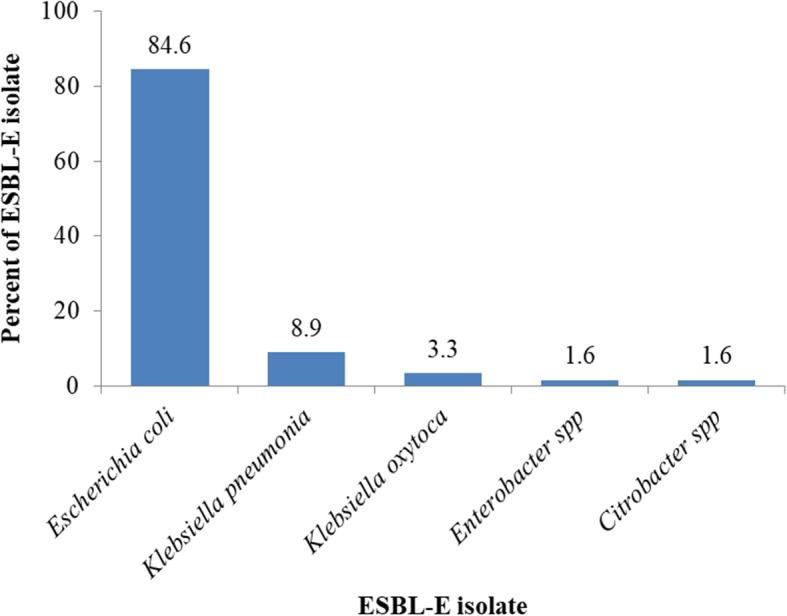 https://cdn.ncbi.nlm.nih.gov/pmc/blobs/612b/7545914/b359e5157cd6/41182_2020_271_Fig1_HTML.jpg