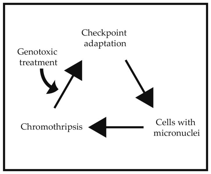 https://cdn.ncbi.nlm.nih.gov/pmc/blobs/612f/5713313/fa827d698fad/ijms-18-02344-g003.jpg
