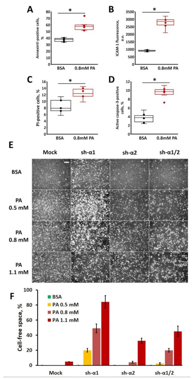 https://cdn.ncbi.nlm.nih.gov/pmc/blobs/6132/10886486/1294df1806f4/biomedicines-12-00339-g002.jpg