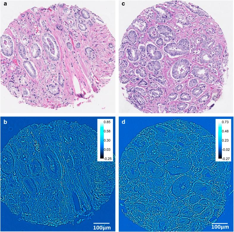 https://cdn.ncbi.nlm.nih.gov/pmc/blobs/6133/4432311/9c51080e90f5/srep09976-f3.jpg