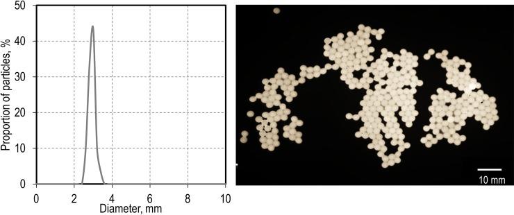 https://cdn.ncbi.nlm.nih.gov/pmc/blobs/6133/6583958/bd75e5e8d09d/pone.0217268.g003.jpg