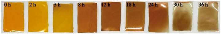 https://cdn.ncbi.nlm.nih.gov/pmc/blobs/6133/9460483/06d38dc273ce/polymers-14-03695-g006.jpg