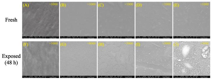 https://cdn.ncbi.nlm.nih.gov/pmc/blobs/6133/9460483/69b02cf5d48b/polymers-14-03695-g009.jpg