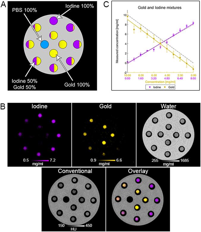https://cdn.ncbi.nlm.nih.gov/pmc/blobs/6135/5500581/ea6249cc215d/41598_2017_4659_Fig4_HTML.jpg