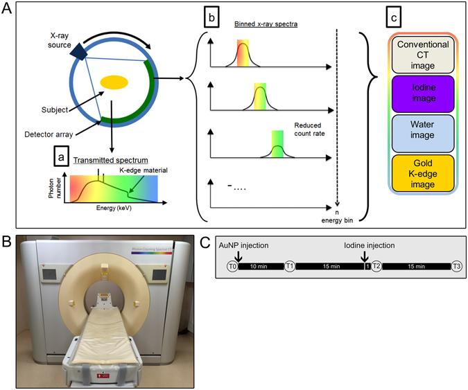 https://cdn.ncbi.nlm.nih.gov/pmc/blobs/6135/5500581/ee4a29db3618/41598_2017_4659_Fig1_HTML.jpg