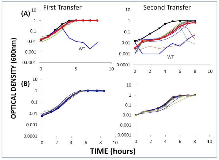 https://cdn.ncbi.nlm.nih.gov/pmc/blobs/6139/3597502/046eaac520ed/pgen.1003312.g007.jpg