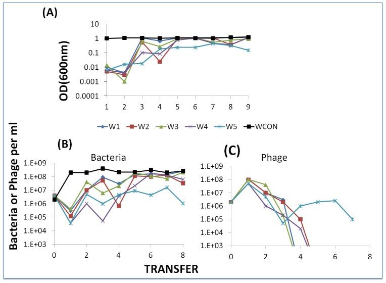 https://cdn.ncbi.nlm.nih.gov/pmc/blobs/6139/3597502/8a17b53e2aac/pgen.1003312.g011.jpg