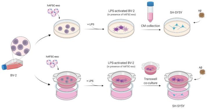 https://cdn.ncbi.nlm.nih.gov/pmc/blobs/613b/9105787/6491bd212ea5/ijms-23-04967-g003.jpg