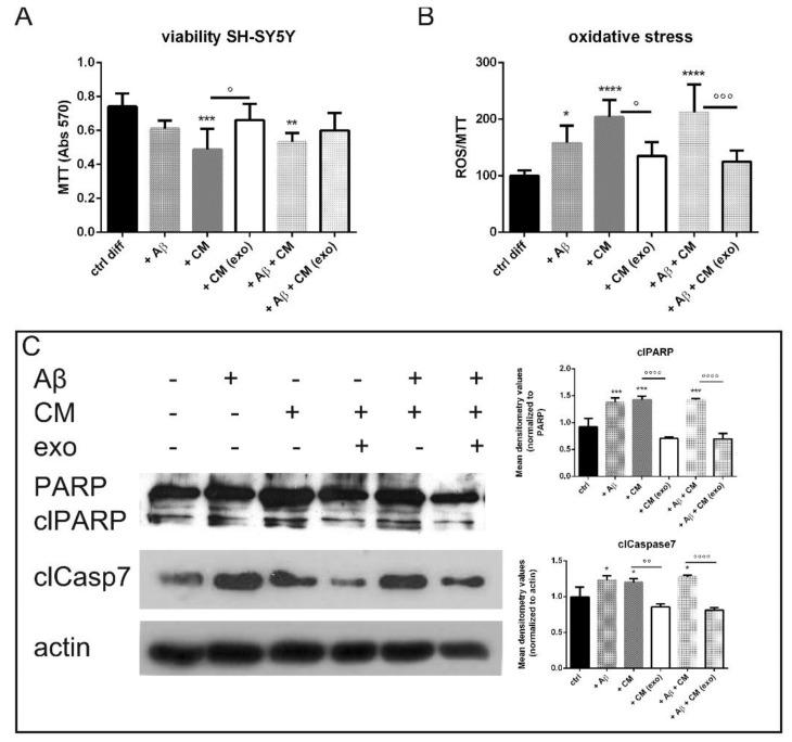 https://cdn.ncbi.nlm.nih.gov/pmc/blobs/613b/9105787/7eed7f8b6e35/ijms-23-04967-g004.jpg