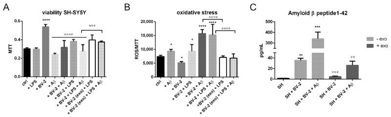 https://cdn.ncbi.nlm.nih.gov/pmc/blobs/613b/9105787/8f82809f9c1b/ijms-23-04967-g006.jpg