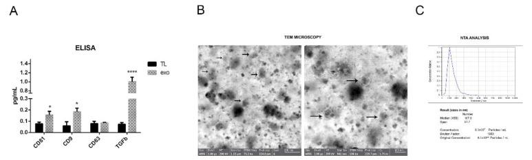 https://cdn.ncbi.nlm.nih.gov/pmc/blobs/613b/9105787/d05b00f4e2e1/ijms-23-04967-g001.jpg