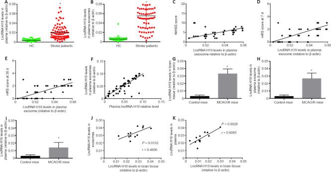 https://cdn.ncbi.nlm.nih.gov/pmc/blobs/613b/9838162/334beb6d7793/NRR-18-1316-g003.jpg