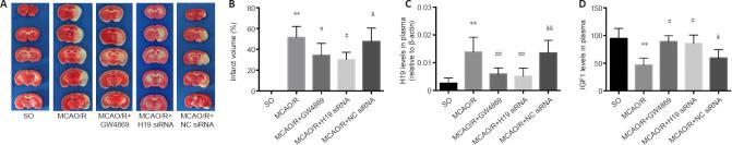 https://cdn.ncbi.nlm.nih.gov/pmc/blobs/613b/9838162/fb135b01e31e/NRR-18-1316-g004.jpg