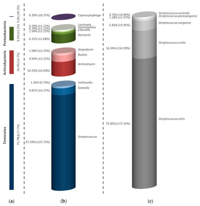 https://cdn.ncbi.nlm.nih.gov/pmc/blobs/613c/7558517/202f838d7871/antibiotics-09-00532-g001.jpg