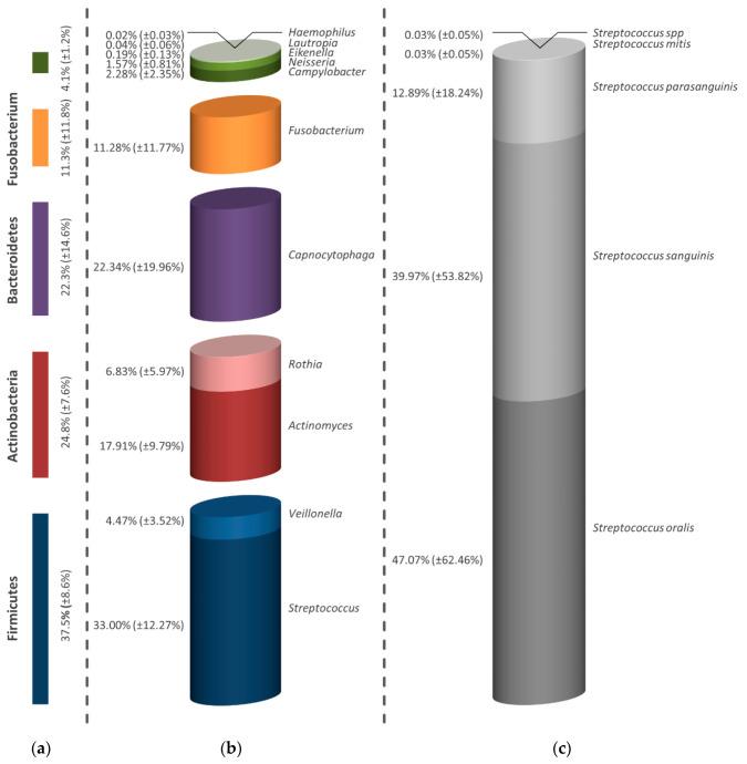 https://cdn.ncbi.nlm.nih.gov/pmc/blobs/613c/7558517/499edcf34a3b/antibiotics-09-00532-g006.jpg