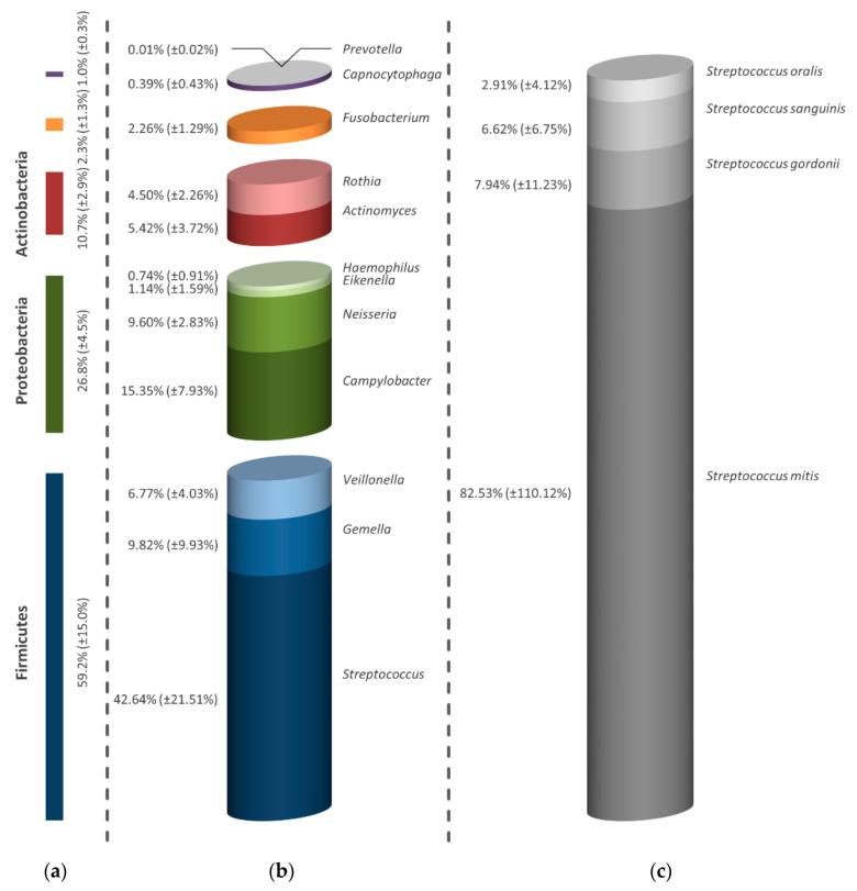 https://cdn.ncbi.nlm.nih.gov/pmc/blobs/613c/7558517/690174536bec/antibiotics-09-00532-g004.jpg