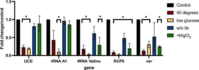 https://cdn.ncbi.nlm.nih.gov/pmc/blobs/613e/11208047/9e5f2d8bf926/elife-95879-fig2-figsupp1.jpg