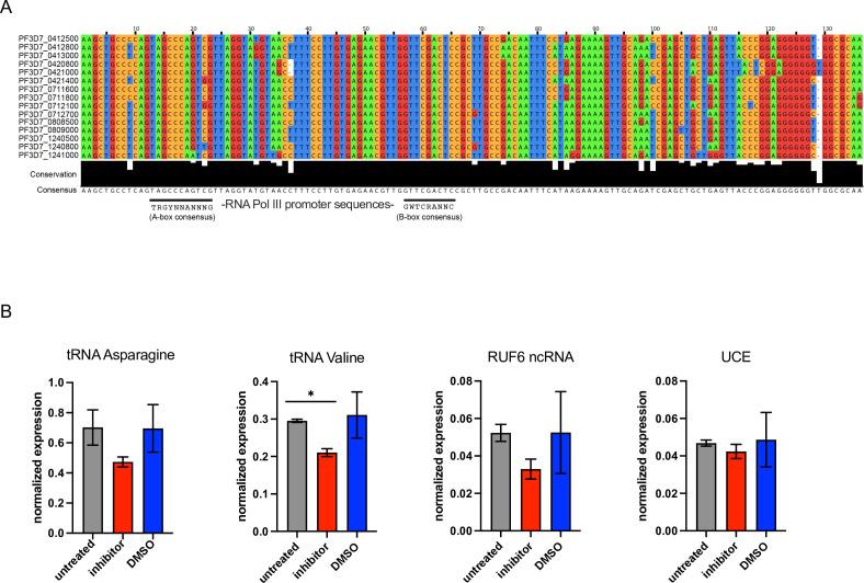 https://cdn.ncbi.nlm.nih.gov/pmc/blobs/613e/11208047/add461603492/elife-95879-fig1-figsupp1.jpg