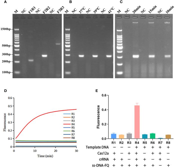 https://cdn.ncbi.nlm.nih.gov/pmc/blobs/613f/11236598/1bde158062bc/fcimb-14-1362513-g002.jpg