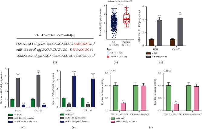 https://cdn.ncbi.nlm.nih.gov/pmc/blobs/6141/8397548/85909d332a3c/DM2021-3138046.004.jpg