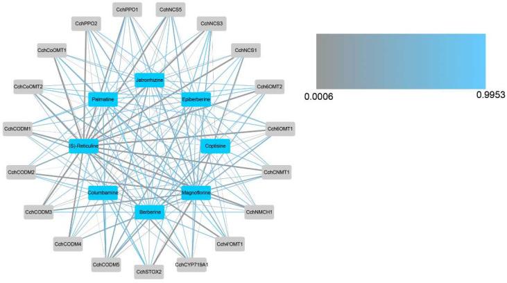 https://cdn.ncbi.nlm.nih.gov/pmc/blobs/6142/10742649/ed0773a6fede/genes-14-02232-g006.jpg