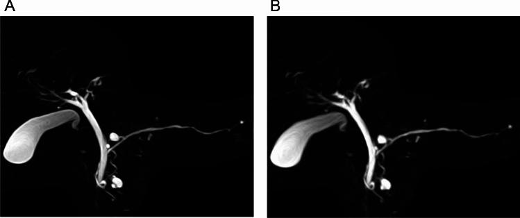 https://cdn.ncbi.nlm.nih.gov/pmc/blobs/6142/11868363/8a9a42941252/11604_2024_1688_Fig4_HTML.jpg