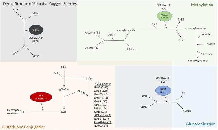 https://cdn.ncbi.nlm.nih.gov/pmc/blobs/6144/7608885/25a36887e99d/pone.0240885.g003.jpg