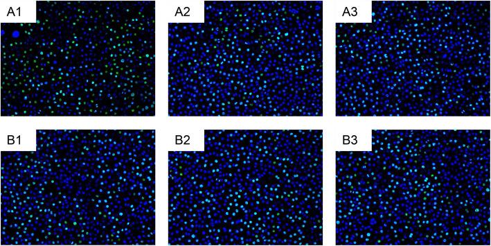 https://cdn.ncbi.nlm.nih.gov/pmc/blobs/6144/7866666/8ff803eb464d/12885_2021_7845_Fig9_HTML.jpg