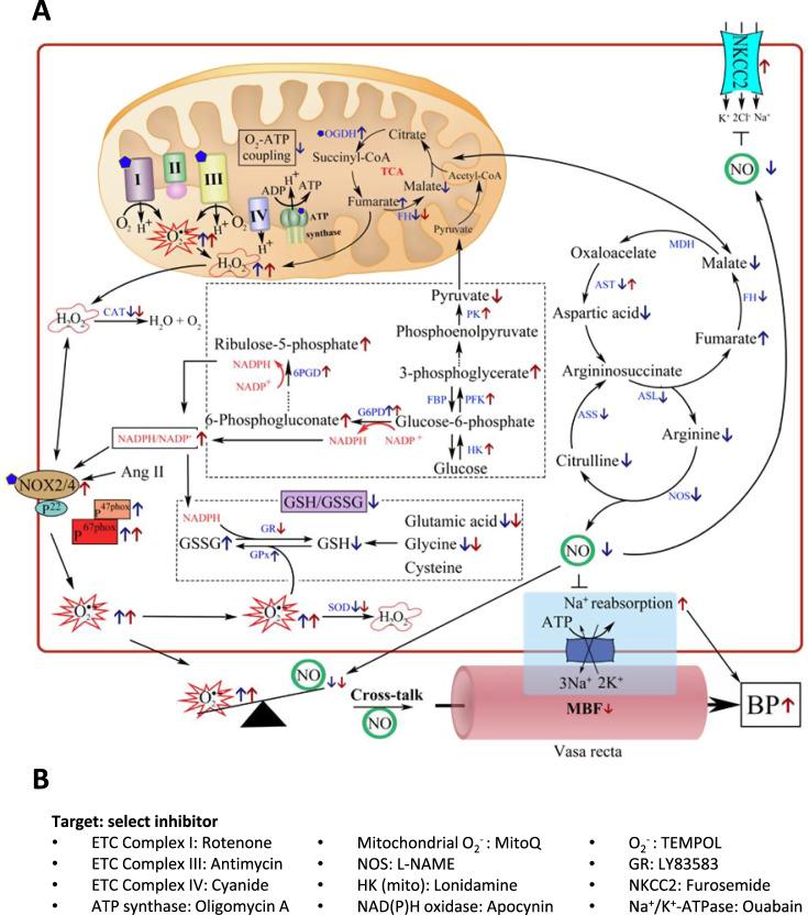 https://cdn.ncbi.nlm.nih.gov/pmc/blobs/6147/7878744/b9d21e90495b/41467_2021_21301_Fig2_HTML.jpg