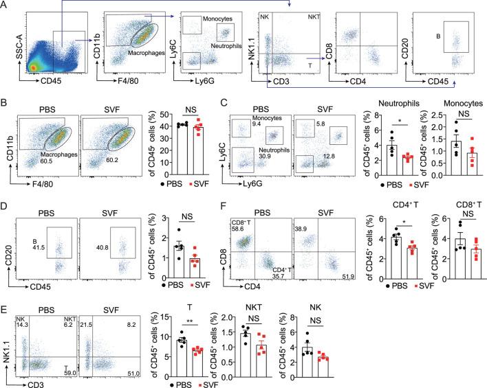 https://cdn.ncbi.nlm.nih.gov/pmc/blobs/614a/12106432/0bc2e785ff80/fphar-16-1559446-g004.jpg