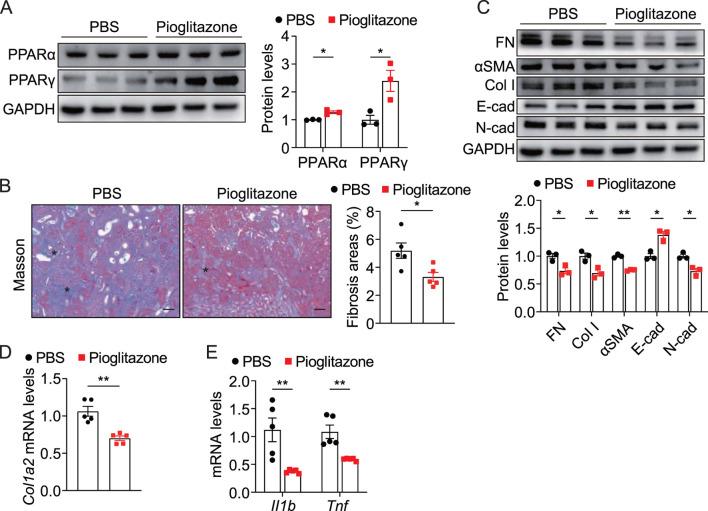 https://cdn.ncbi.nlm.nih.gov/pmc/blobs/614a/12106432/7e1d1df50b5e/fphar-16-1559446-g007.jpg