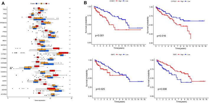 https://cdn.ncbi.nlm.nih.gov/pmc/blobs/614e/8960263/887fdf0fa142/fgene-13-858905-g005.jpg