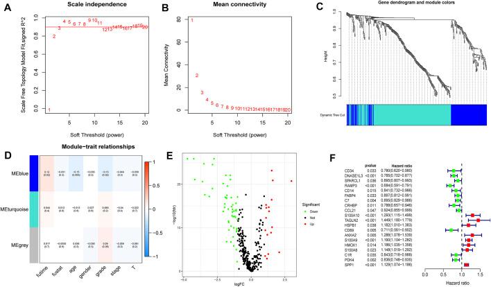 https://cdn.ncbi.nlm.nih.gov/pmc/blobs/614e/8960263/f1a1756af167/fgene-13-858905-g007.jpg