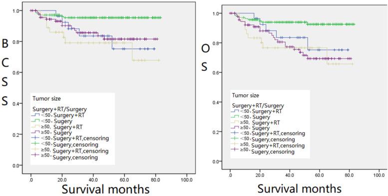 https://cdn.ncbi.nlm.nih.gov/pmc/blobs/614e/9425899/3b3d680cc2ae/10.1177_15330338221121086-fig3.jpg