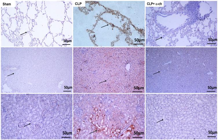 https://cdn.ncbi.nlm.nih.gov/pmc/blobs/6150/9467300/06c1e395925e/DDDT-16-3023-g0006.jpg
