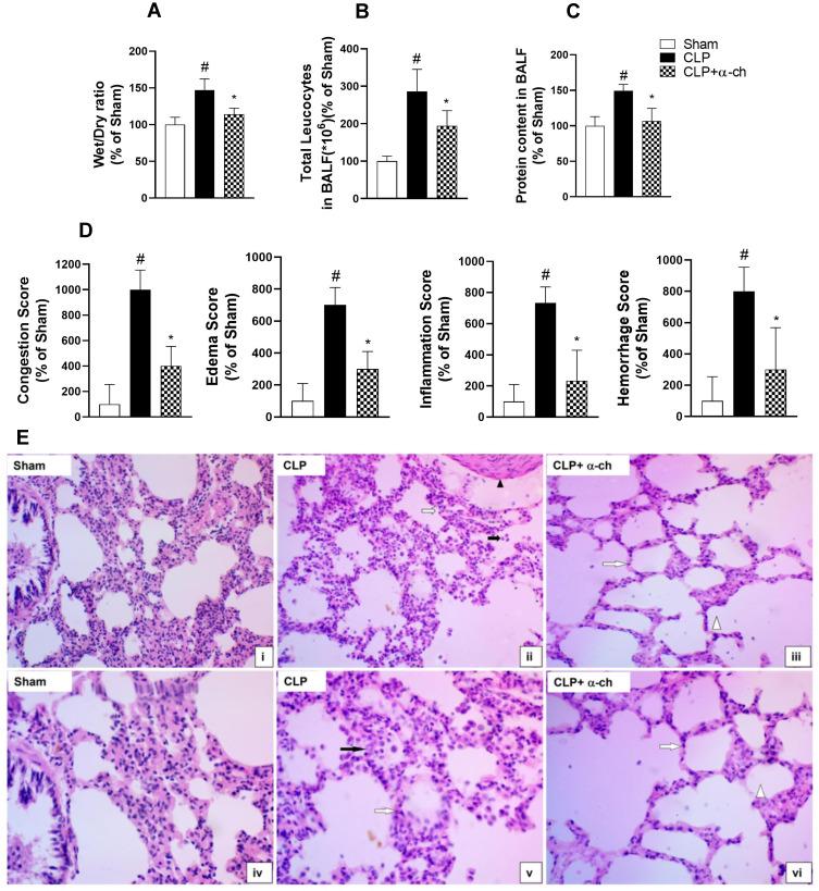 https://cdn.ncbi.nlm.nih.gov/pmc/blobs/6150/9467300/1ba5a5a97592/DDDT-16-3023-g0002.jpg