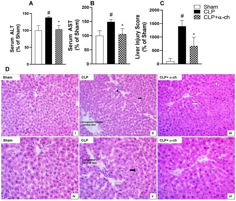 https://cdn.ncbi.nlm.nih.gov/pmc/blobs/6150/9467300/1bdc3f0a0bdb/DDDT-16-3023-g0003.jpg